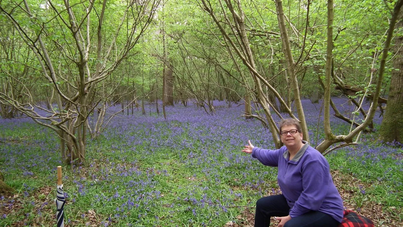 E01 finemere wood, quainton 1 may (15)